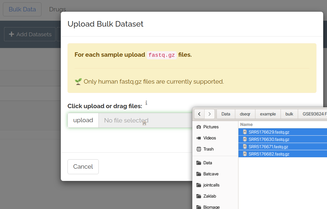 Bulk Data Import