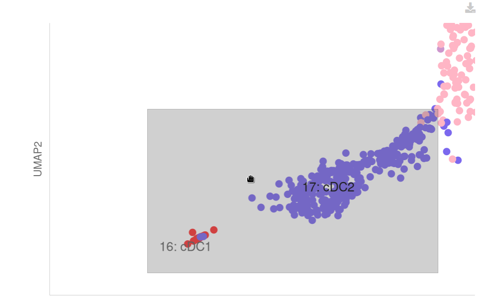 Zoom Single-Cell